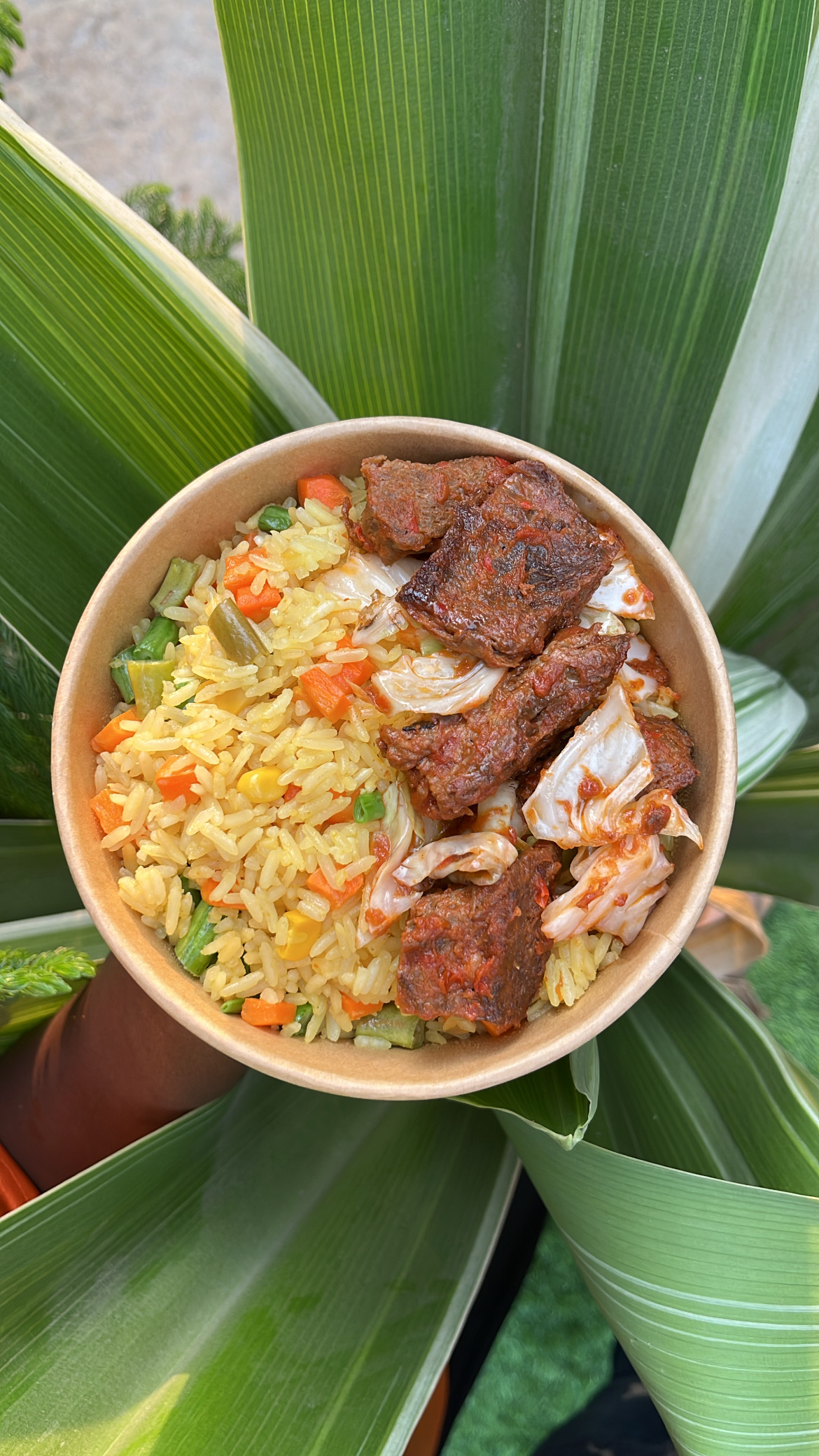 Fried Rice Combo – VeggieVictory