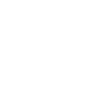 VV-White-Logo